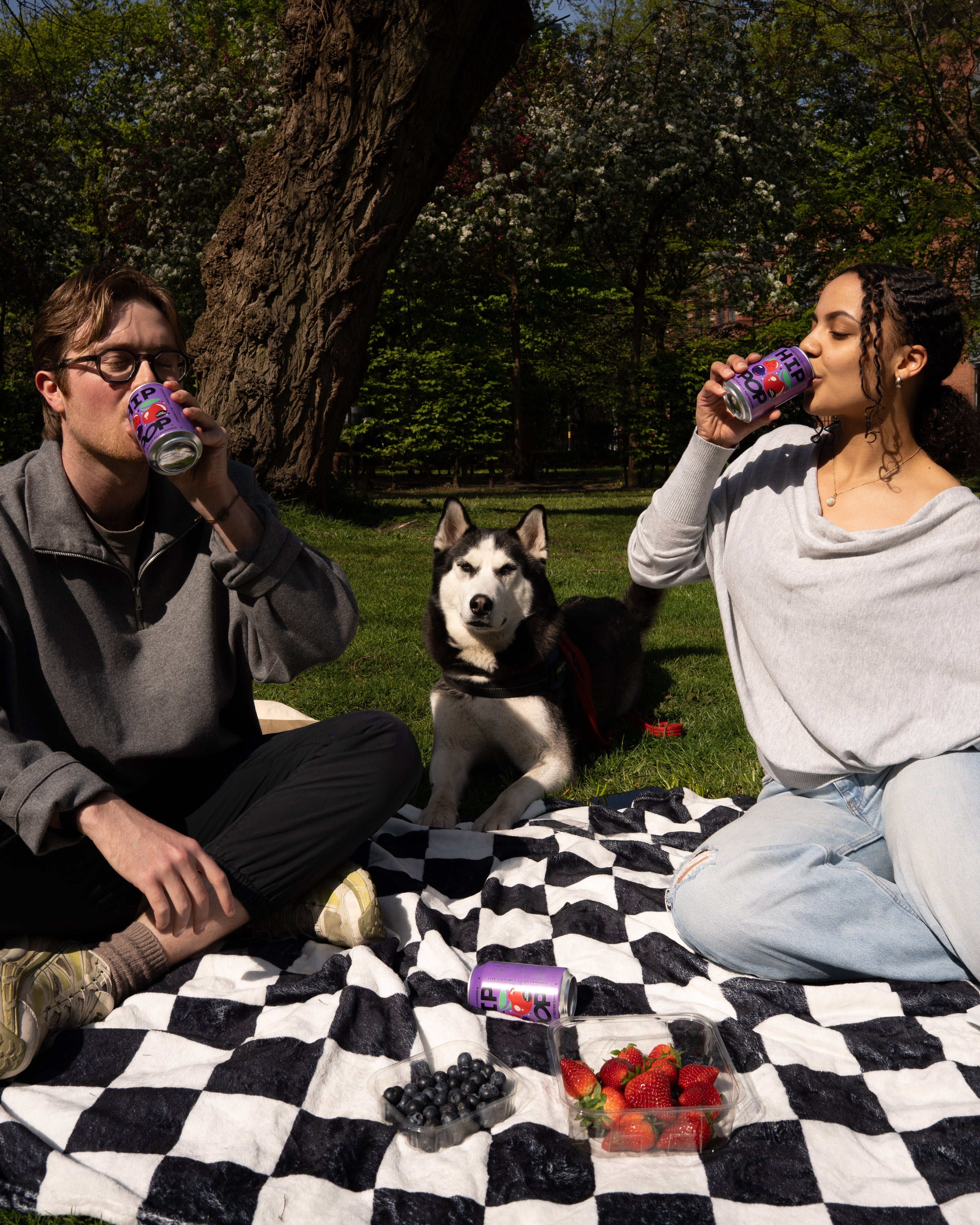 Two people enjoying Hip Pop berries & cherries during a picnic with a Siberian Husky, sitting on a checkered blanket with berries and drinks in view, illustrating a casual moment to explore the question: what are natural flavourings in everyday beverages.