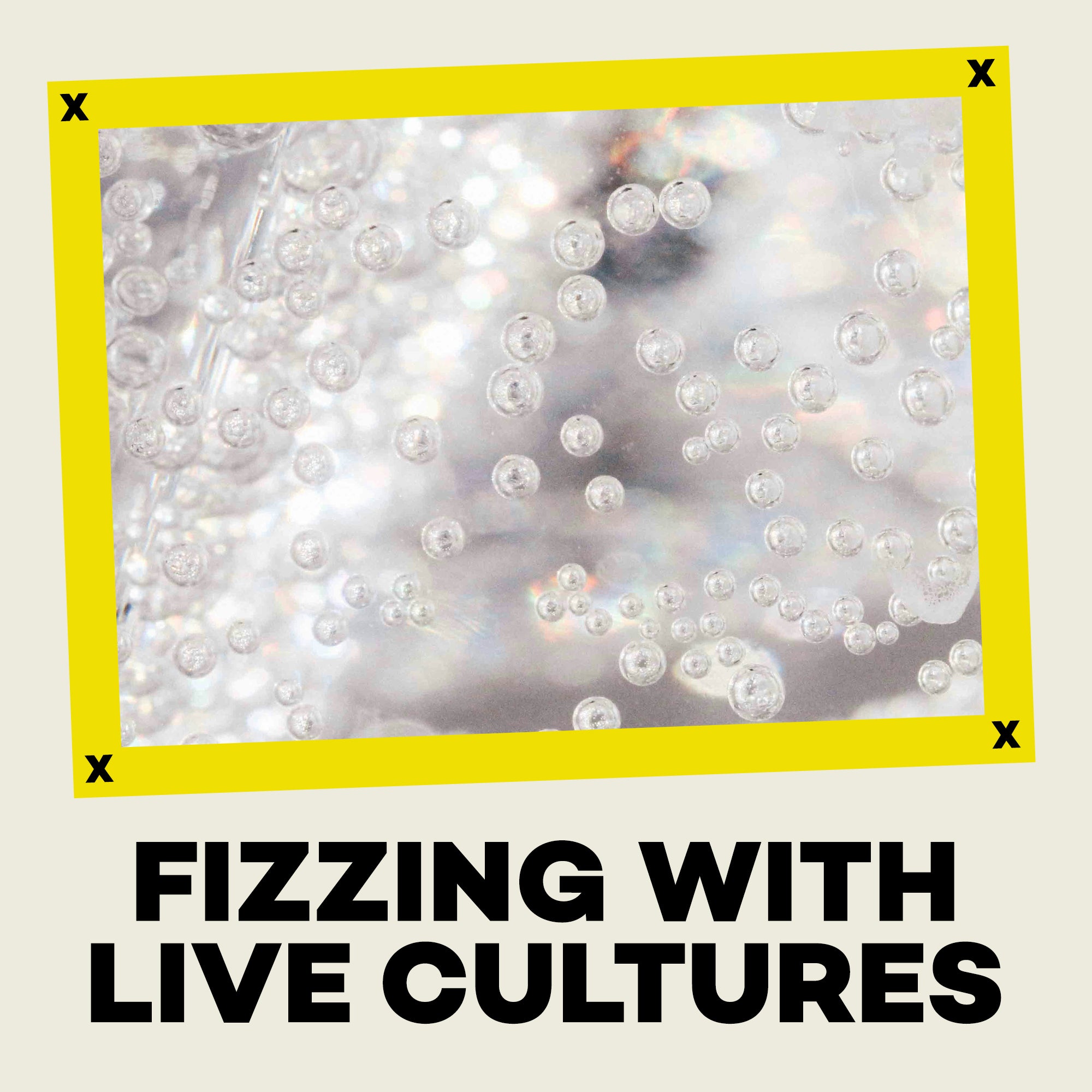 Close-up of bubbles with text 'Fizzling with Live Cultures' on a beige background