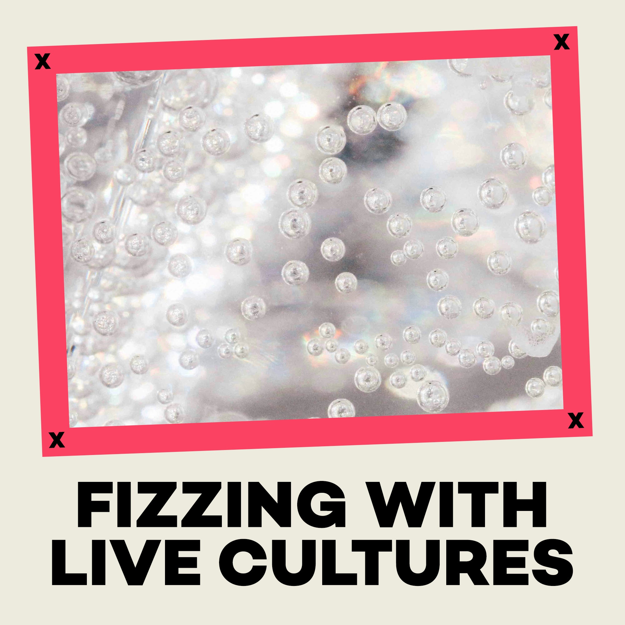 Close-up of bubbles with text 'Fizzling with Live Cultures' on a light background
