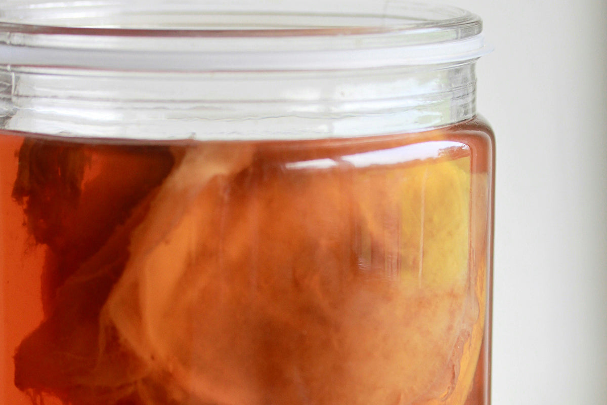 clear glass container with kombucha scoby