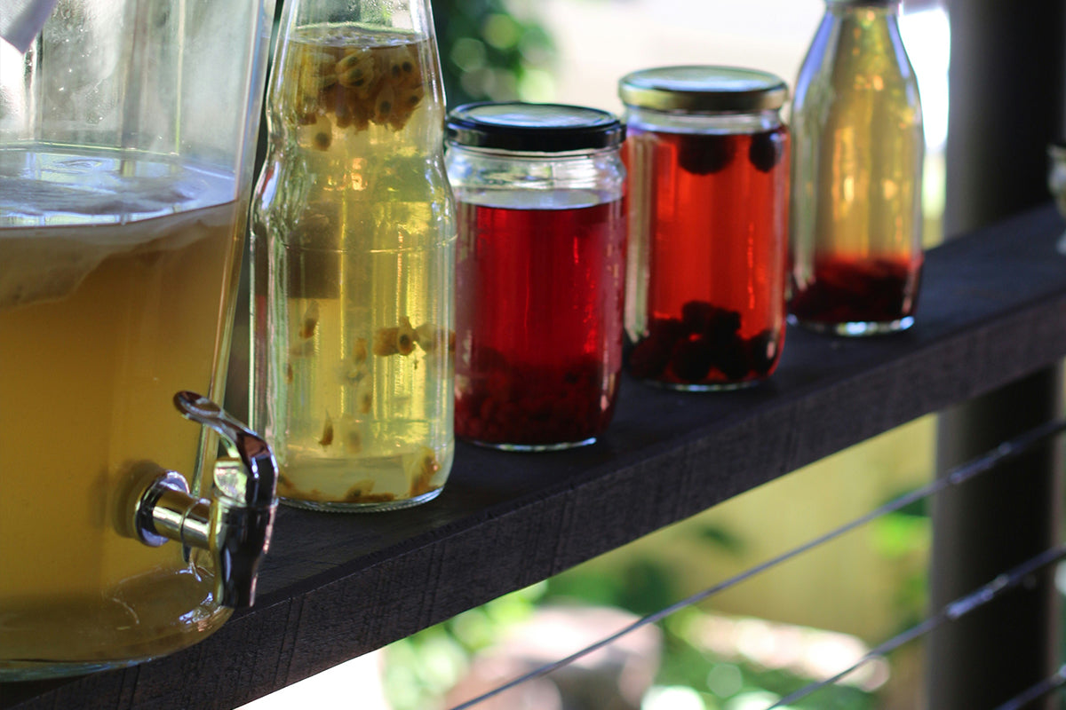 a photo showing a row of home brewed drinks