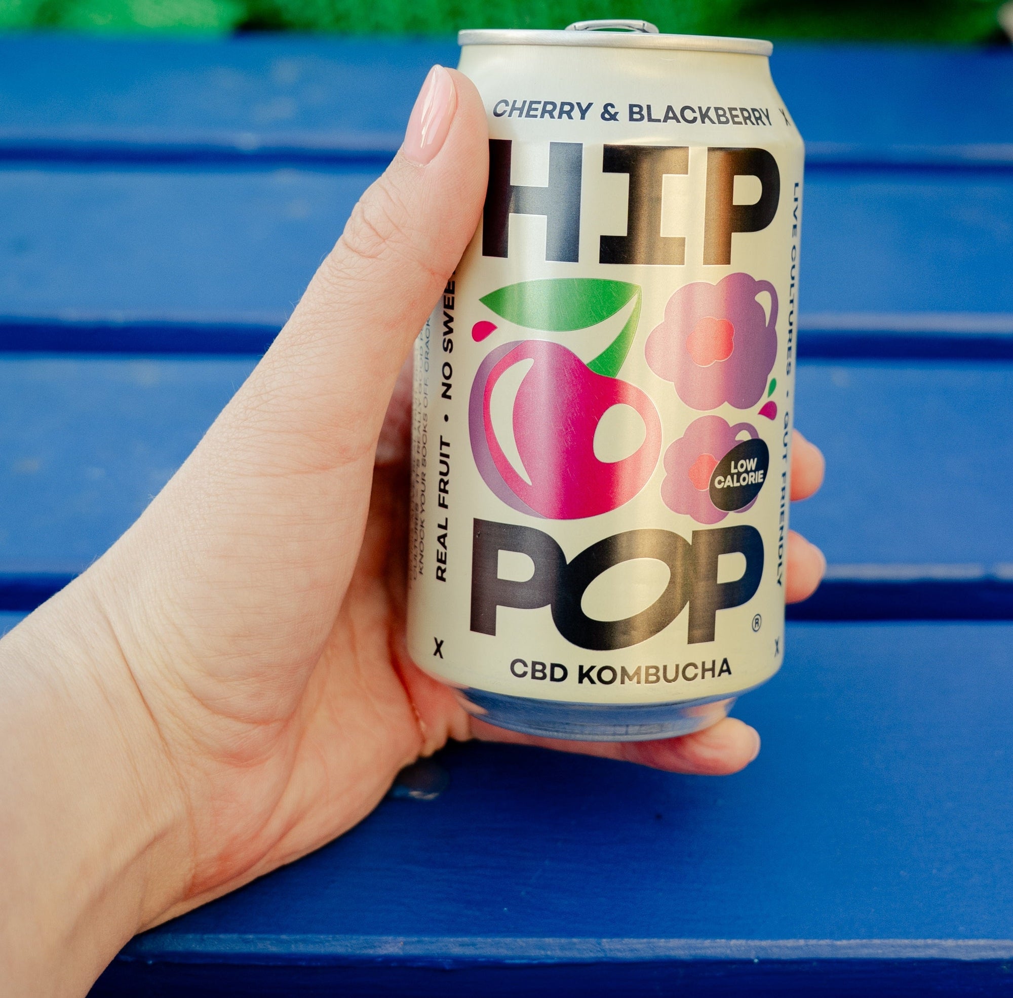 Hand holding a can of HIP POP cherry and blackberry CBD kombucha drink on a blue bench; a low calorie drink with real fruit ingredients