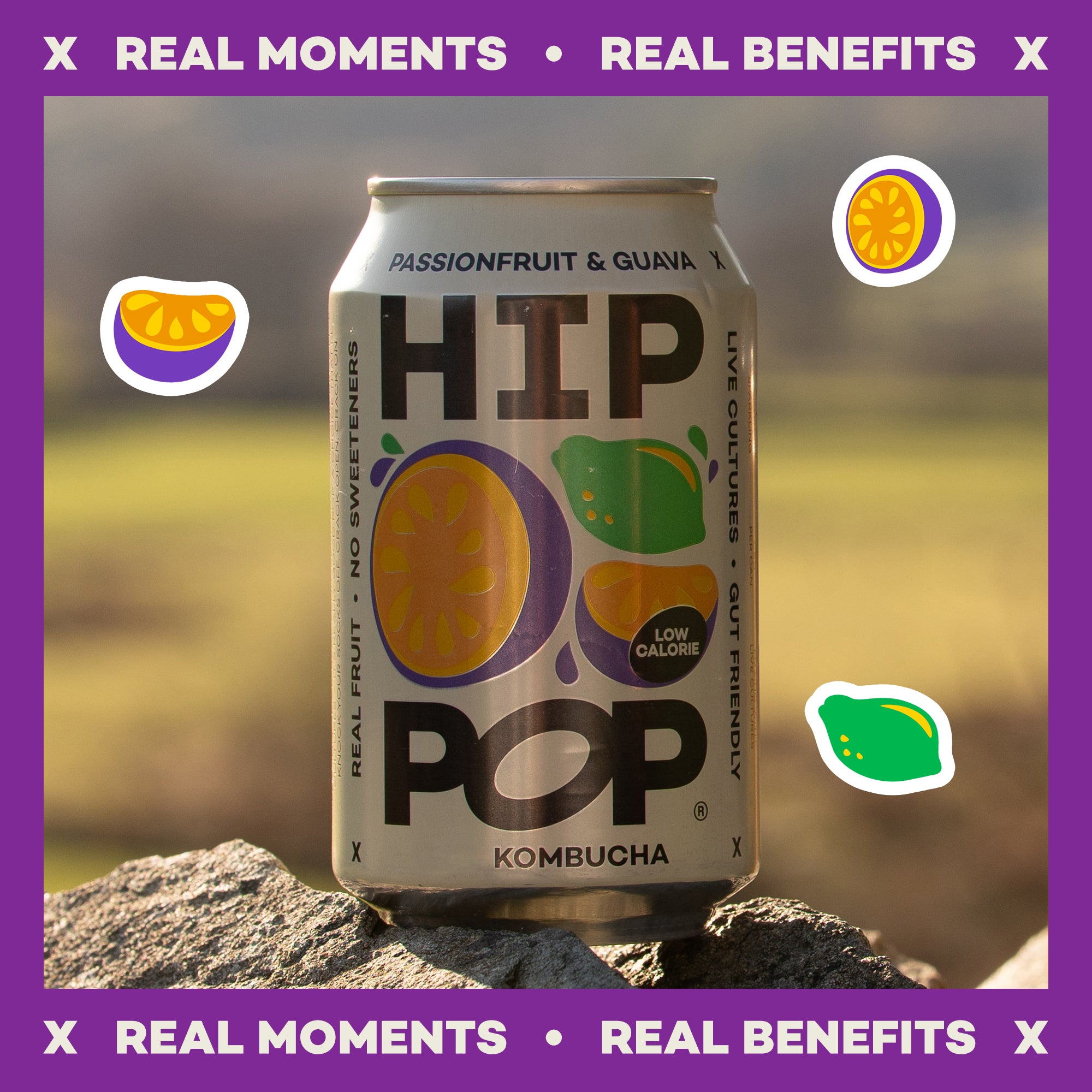 Can of HIP POP Kombucha with fruit illustrations on a natural background