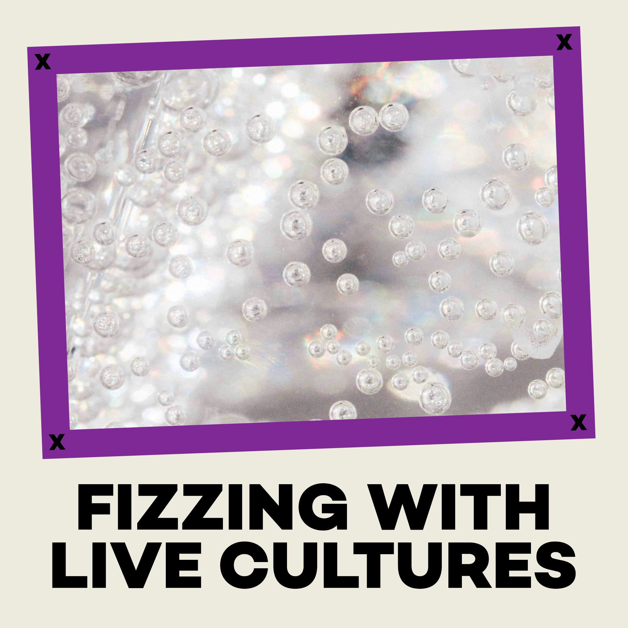 Text 'Fizzling with Live Cultures' over a blurred background of bubbles.