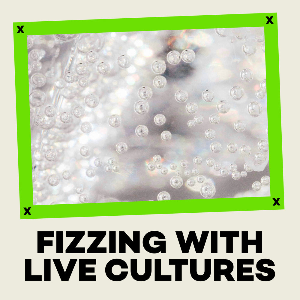 Bubbles with text 'Fizzling with Live Cultures' on a light background