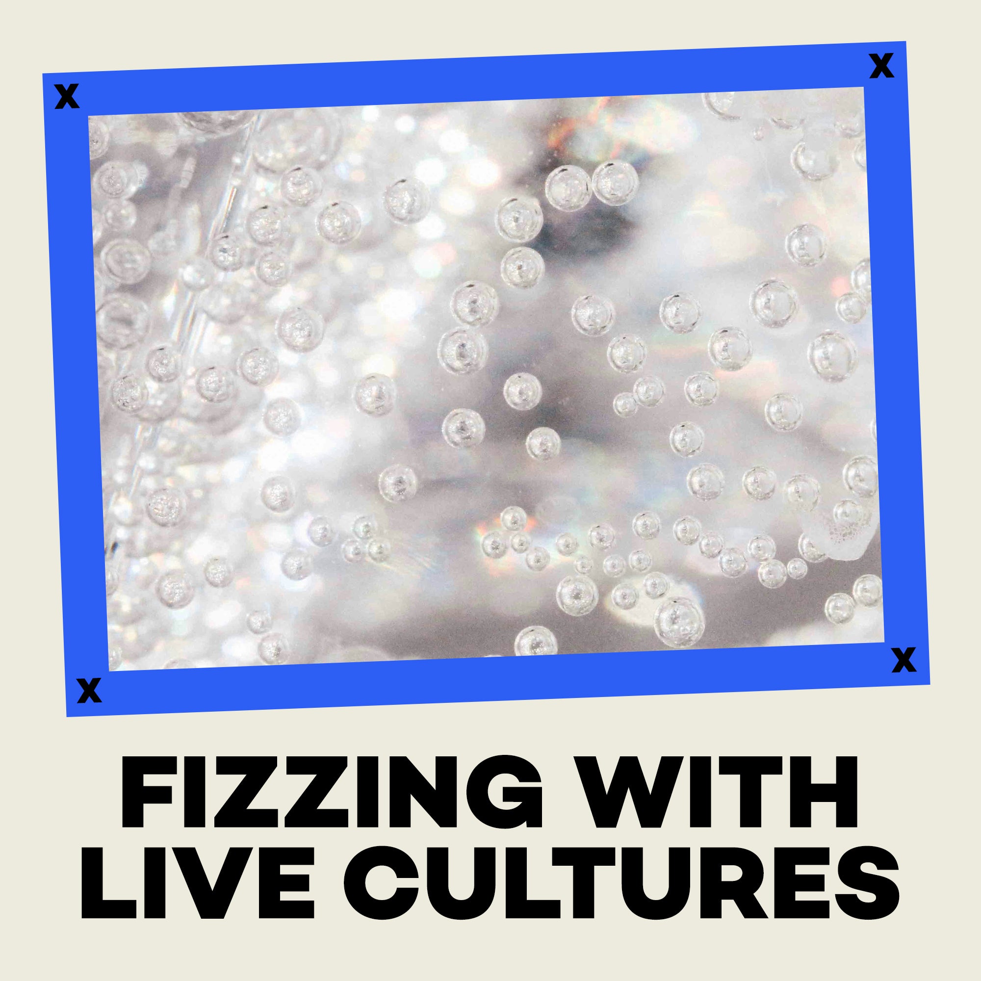 Close-up of bubbles with text 'Fizzling with Live Cultures' on a beige background