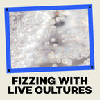Close-up of bubbles with text 'Fizzling with Live Cultures' on a beige background