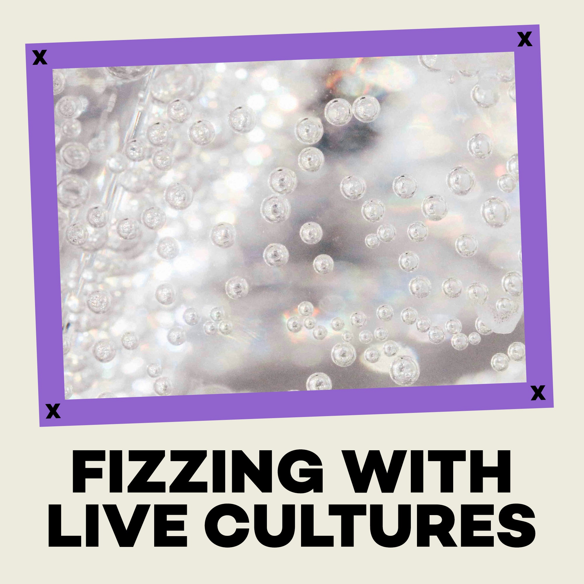 Text 'Fizzling with Live Cultures' over a close-up of bubbles.
