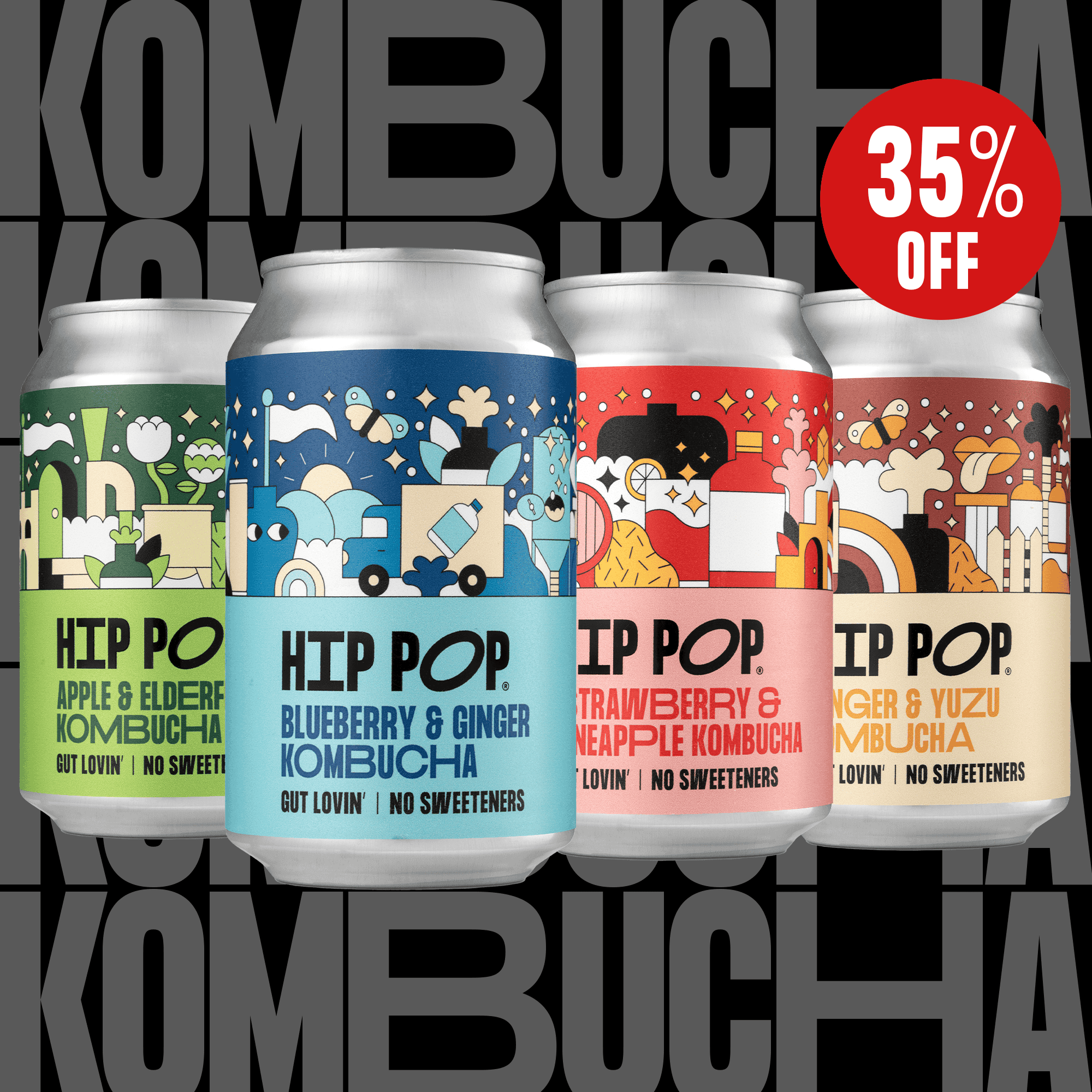 TEST OTO DO NOT ORDER 6-Can Kombucha Taster Case - 330ml Cans