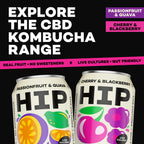 Passionfruit & Guava CBD Kombucha - 330ml Cans