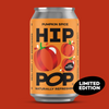 Pumpkin Spice Soda - 330ml Cans