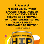 Ginger & Turmeric Soda - 330ml Cans
